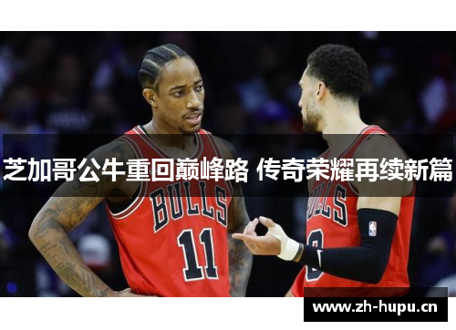 芝加哥公牛重回巅峰路 传奇荣耀再续新篇 芝加哥公牛重回巅峰路 传奇荣耀再续新篇