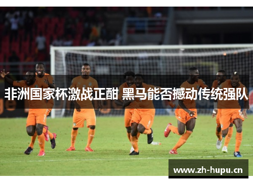 非洲国家杯激战正酣 黑马能否撼动传统强队 非洲国家杯激战正酣 黑马能否撼动传统强队